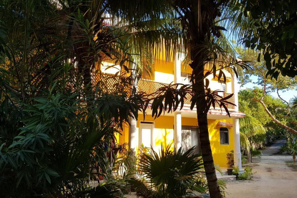 Marysol D10 Private Beach Next To Nomads Isla Mujeres Ngoại thất bức ảnh